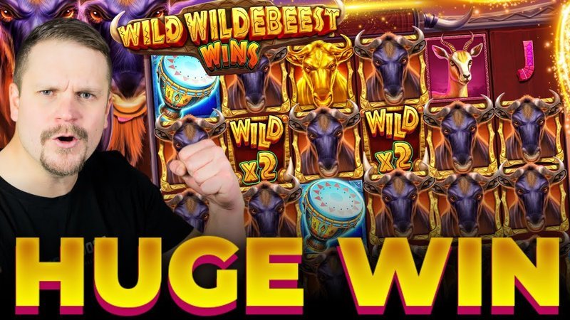 WinBeast Casino Review for UK Players: Exclusive No Deposit Bonus Offer